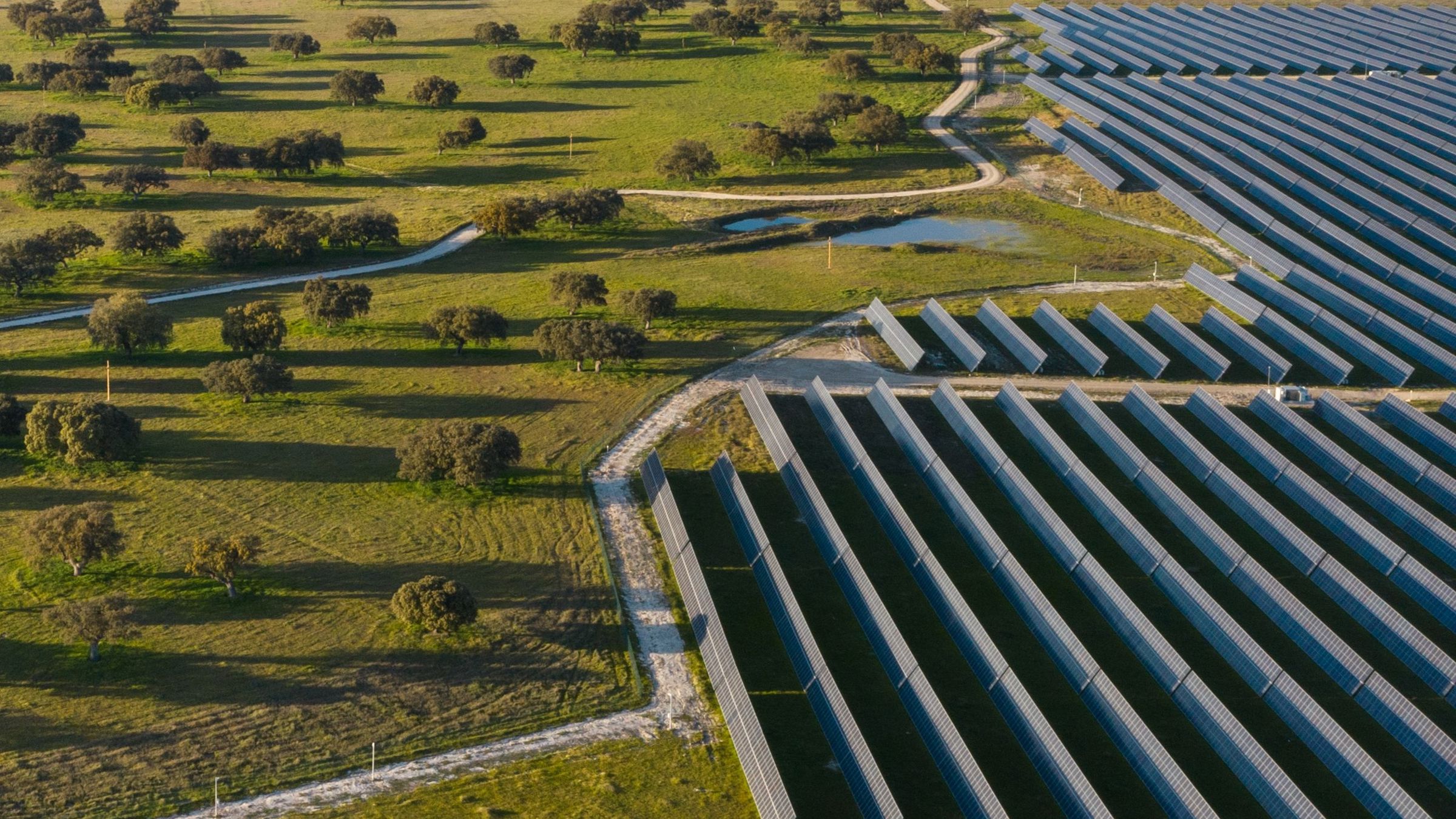 Talayuela Solar panorámica